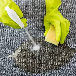 Es Gibt Viele Mglichkeiten Teppichbden Zu Reinigen